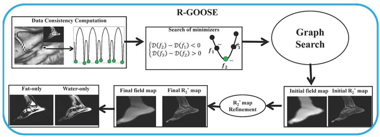 RGOOSE FIG 1